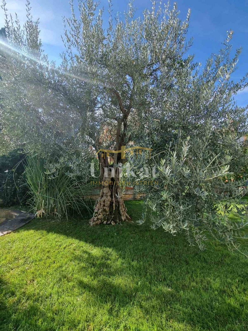 Dvojna hiša v istrskem slogu